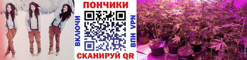Названия наркотиков Серов Гашиш Конопля Альфа ПВП Мефедрон Метадон Кокаин