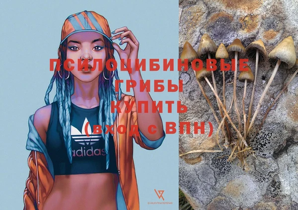 ПСИЛОЦИБИНОВЫЕ ГРИБЫ Красноперекопск